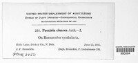 Image Associated With the Occurence